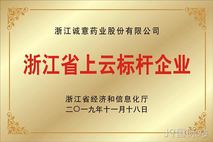 浙江省上云标杆企业